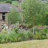 Photo 5: Rear Garden