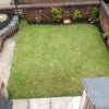 Photo 5: Garden