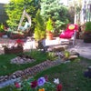 Photo 9: Garden, BBQ area, Water feature