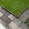 Photo 8: large back garden perfect for barbeques 