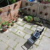 Photo 4: Back garden, seen out window, earlier this year