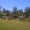 Photo 7: a view from the campsite