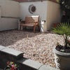 Photo 3: Patio