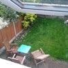 Photo 2: garden