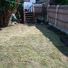 Photo 3: mature garden bq