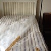 Photo 6: Bed