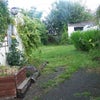 Photo 2: Garden with large veg plot