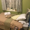 Photo 3: " David's Signature moroccon room "