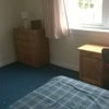 Photo 2: phone 07446107928