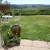 Photo 3: GARDEN FROM KITCHEN /DINER