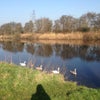 Photo 3: The view from the front of the house