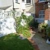 Photo 5: Cottage garden