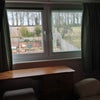 Photo 4: Looking out window to garden