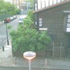 Photo 9: View