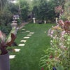 Photo 3: great outdoor space