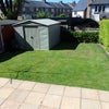 Photo 6: sunny garden