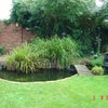 Photo 5: Garden