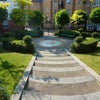 Photo 8: Park