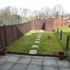 Photo 8: Rear Garden