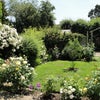 Photo 3: Garden