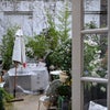 Photo 6: Share of the large lovely garden