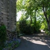 Photo 2: Driveway up to the house 