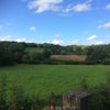 Photo 6: view from studio  windows