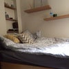 Photo 5: Bedroom