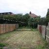 Photo 5: Large back garden to relax in