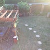 Photo 2: Rear garden