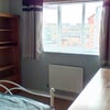 Photo 2: Bookcase / TV