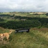 Photo 4: lovely views from our nearby field.