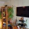 Photo 6: Lounge