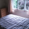 Photo 4: bedroom