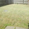 Photo 4: Garden