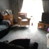 Photo 2: Lounge 