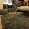 Photo 6: Room 1 (this room taken)