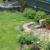 Photo 2: Garden with sunny aspect