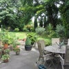 Photo 8: Garden
