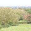 Photo 5: View from the back garden