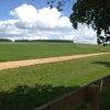 Photo 9: The Gallops