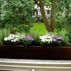 Photo 4: Lovely view from bedroom to private garden square