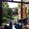 Photo 5: Garden