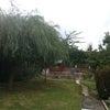 Photo 5: Garden