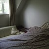 Photo 5: Bedroom/no en-suite