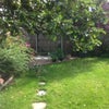 Photo 5: Garden