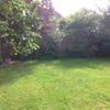 Photo 6: Garden