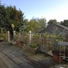 Photo 3: decking