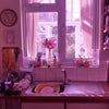 Photo 2: More of the kitchen... not sure why it's gone purple!
