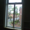 Photo 4: view from bedroom